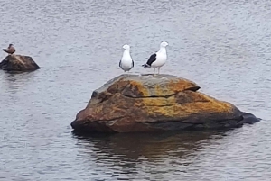 PARCO NAZIONALE DELLA TERRA DEL FUOCO E TRENO DELLA FINE DEL MONDO