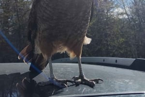 PARCO NAZIONALE DELLA TERRA DEL FUOCO E TRENO DELLA FINE DEL MONDO