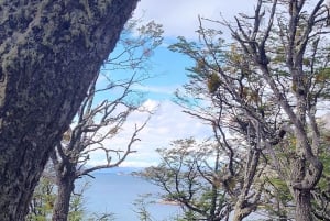 PARCO NAZIONALE DELLA TERRA DEL FUOCO E TRENO DELLA FINE DEL MONDO