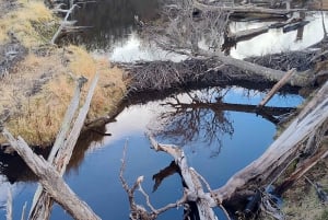 PARCO NAZIONALE DELLA TERRA DEL FUOCO E TRENO DELLA FINE DEL MONDO