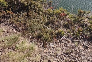 PARCO NAZIONALE DELLA TERRA DEL FUOCO E TRENO DELLA FINE DEL MONDO