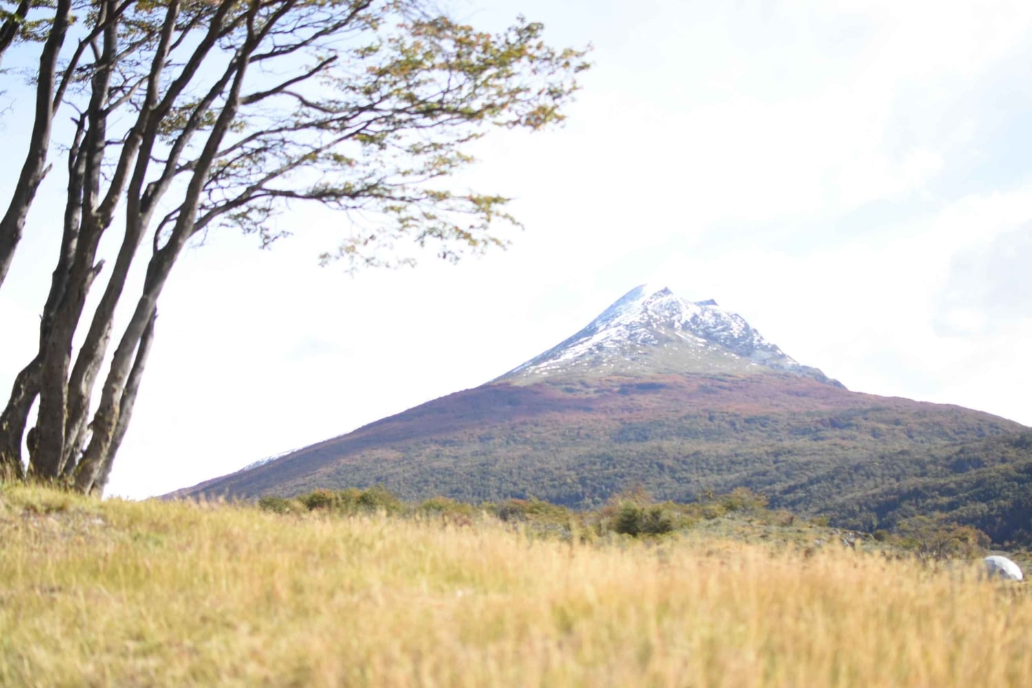 Экскурсия по национальному парку Огненная Земля