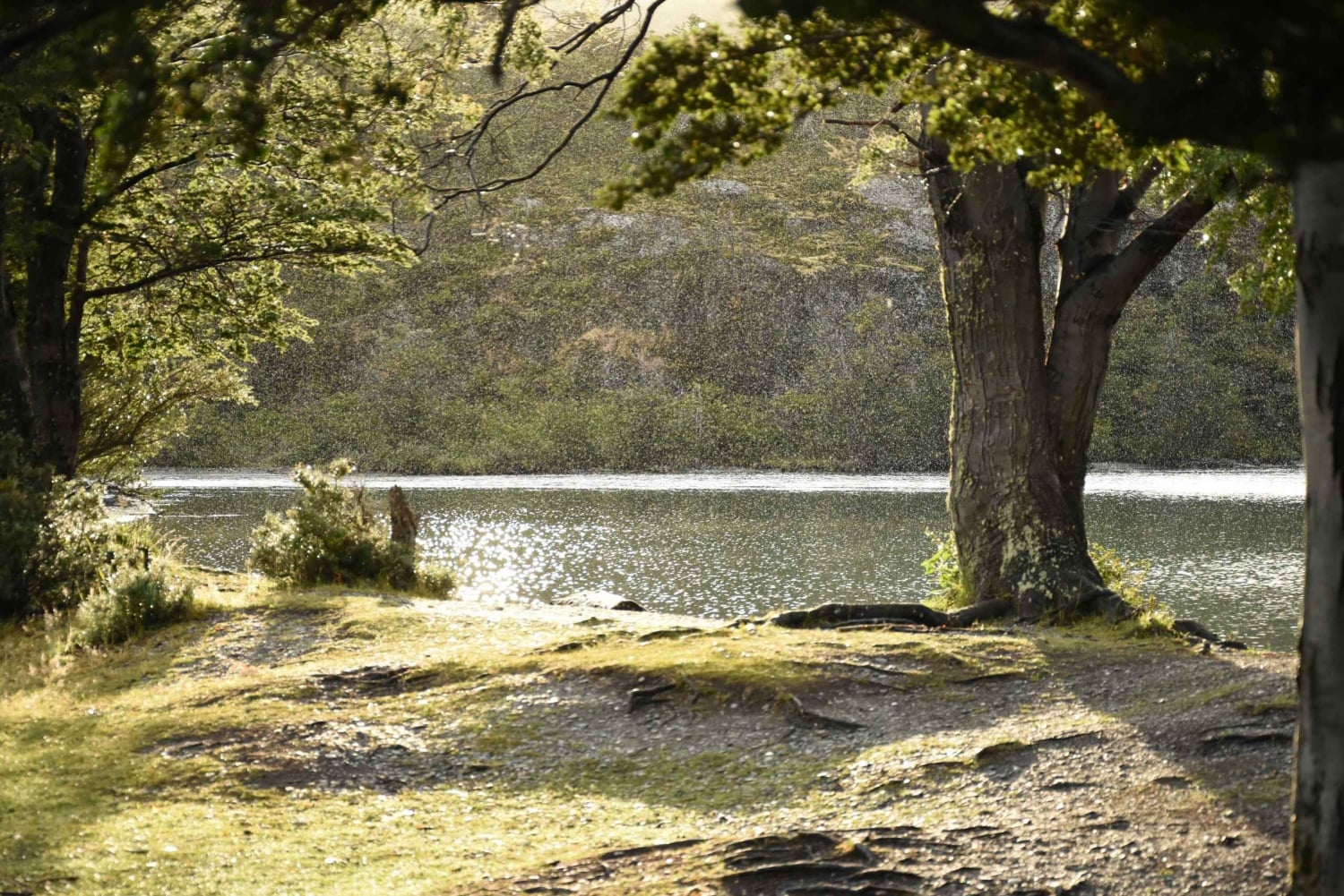 Экскурсия по национальному парку Огненная Земля