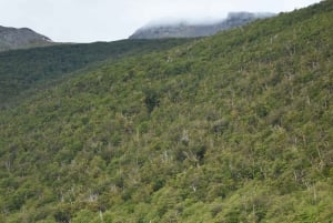 Экскурсия по национальному парку Огненная Земля