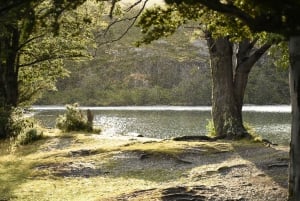 Экскурсия по национальному парку Огненная Земля
