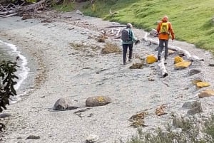 Экскурсия по национальному парку Огненная Земля