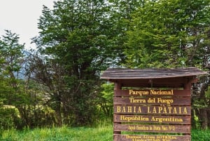 Tour del parco e del treno della Terra del Fuoco per crocieristi (senza biglietti)