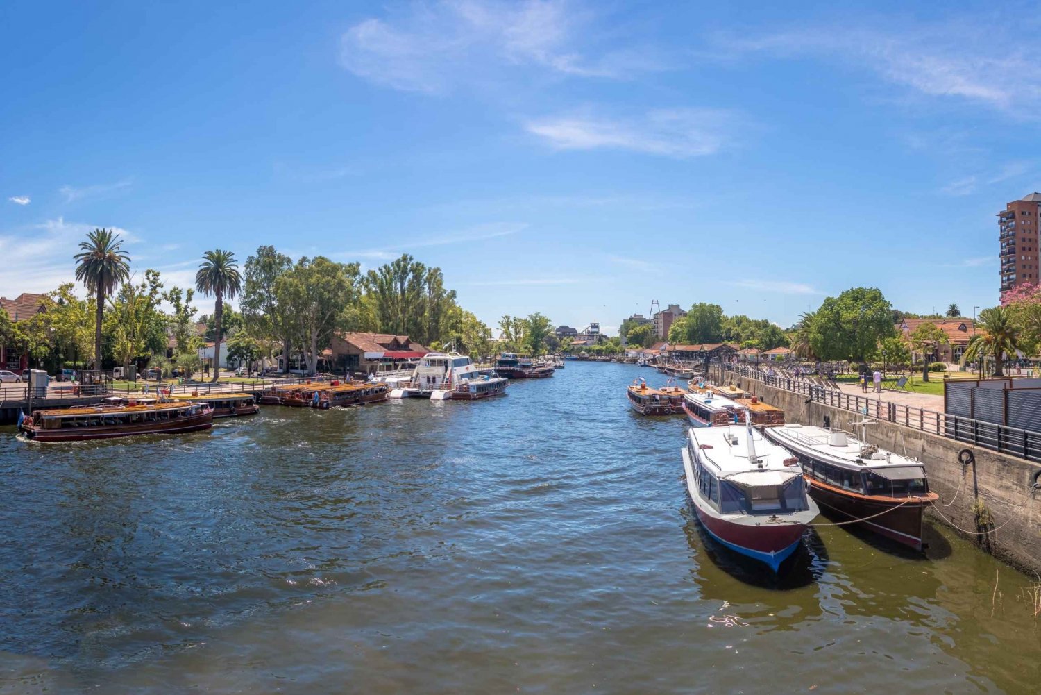 Tigre: 1-Hour River Delta Panoramic Boat Tour