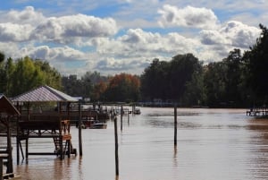 Tigre: 1-stündige Panorama-Bootstour im Flussdelta