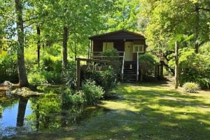 Tigre Island: Local-Style Grill Immersion in Hidden Nature