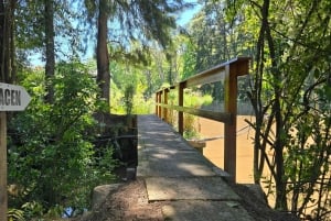 Tigre Island: Local-Style Grill Immersion in Hidden Nature