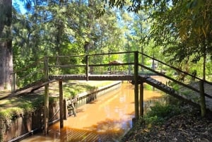 Tigre Island: Local-Style Grill Immersion in Hidden Nature