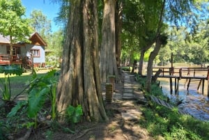 Tigre Island: Local-Style Grill Immersion in Hidden Nature