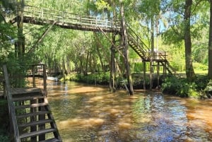 Tigre Island: Local-Style Grill Immersion in Hidden Nature