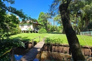 Tigre Island: Local-Style Grill Immersion in Hidden Nature