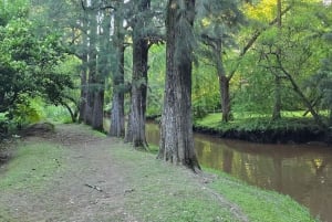 Tigre Island: Local-Style Grill Immersion in Hidden Nature