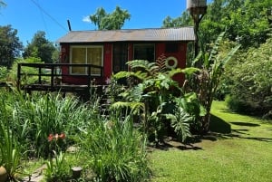 Tigre Island: Local-Style Grill Immersion in Hidden Nature