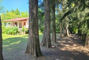 Tigre Island: Local-Style Grill Immersion in Hidden Nature