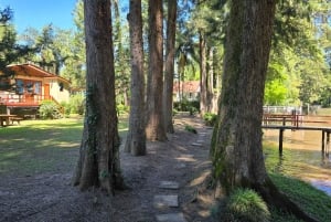 Tigre Island: Local-Style Grill Immersion in Hidden Nature