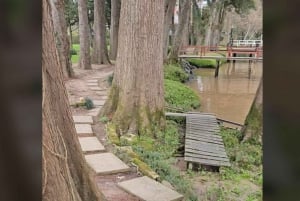 Tigre Island: Local-Style Grill Immersion in Hidden Nature