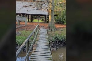 Tigre Island: Local-Style Grill Immersion in Hidden Nature