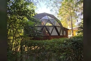 Tigre Island: Local-Style Grill Immersion in Hidden Nature