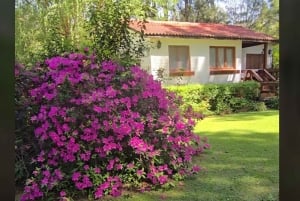 Tigre Island: Local-Style Grill Immersion in Hidden Nature