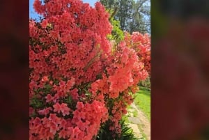 Tigre Island: Local-Style Grill Immersion in Hidden Nature