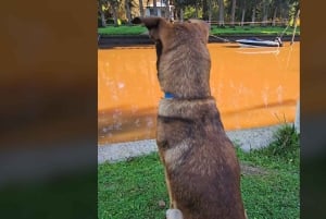 Tigre Island: Local-Style Grill Immersion in Hidden Nature