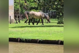 Tigre Island: Local-Style Grill Immersion in Hidden Nature