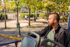 Tigre: Premium-båd, der sejler til Puerto Madero