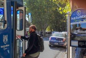 Tigre: Premium-båd, der sejler til Puerto Madero