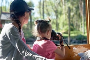 Tigre: River Delta Panoramic Boat Tour