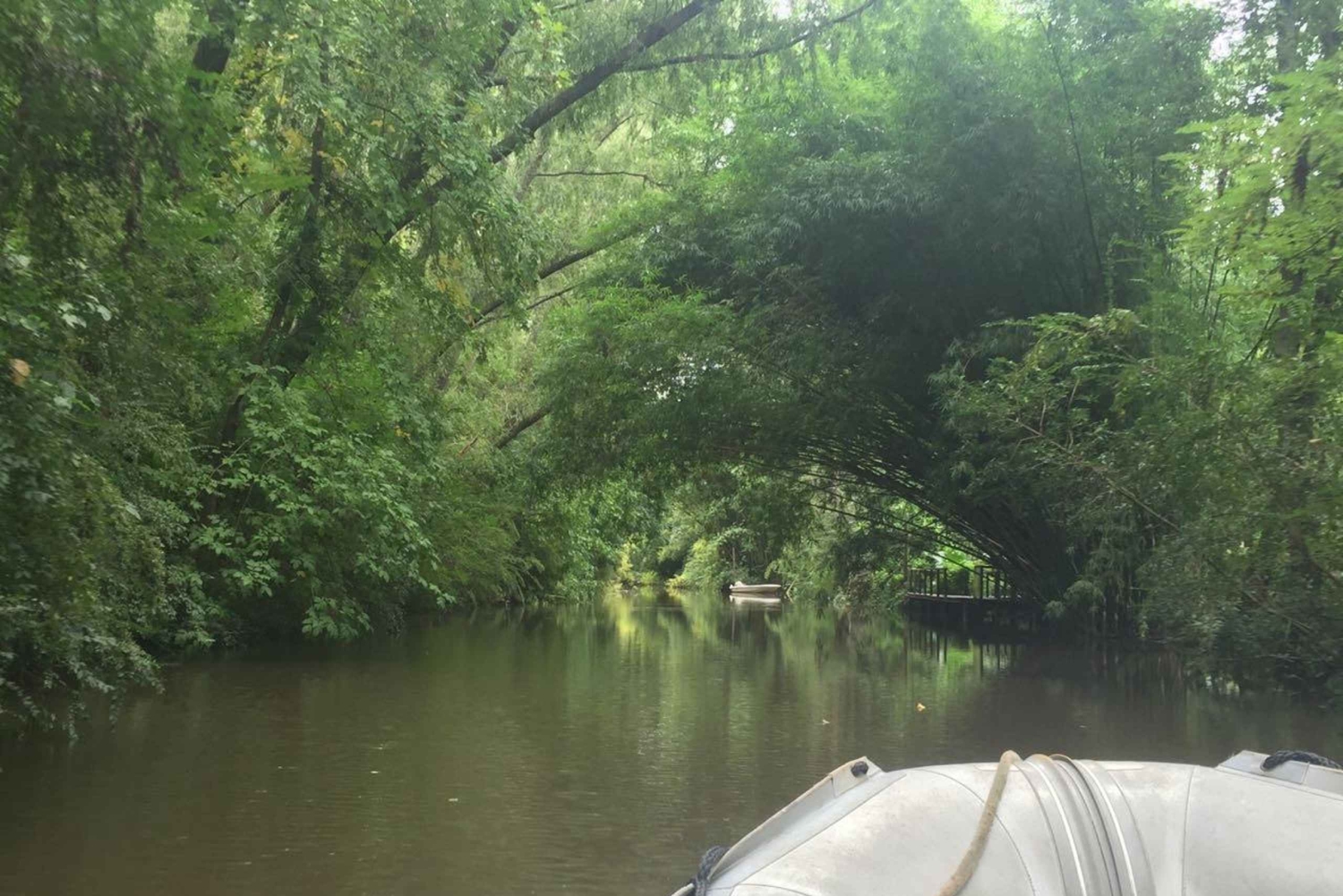 Tigre: Safari Delta Boat Tour w Tigre