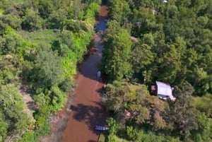 Tigre: Safári Náutico em Tigre/ Passeio de barco pela Reserva da Biosfera