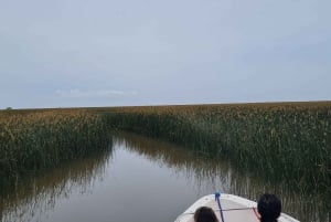 Tigre: Safári Náutico em Tigre/ Passeio de barco pela Reserva da Biosfera