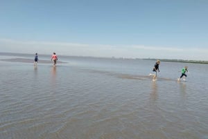 Tigre: Safári Náutico em Tigre/ Passeio de barco pela Reserva da Biosfera