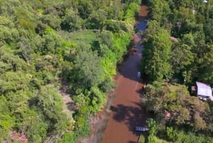 Tigre: Safari Náutico en Tigre/ omvisning med båt i biosfærereservatet