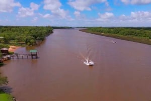 Tigre: Safari Náutico en Tigre/ omvisning med båt i biosfærereservatet
