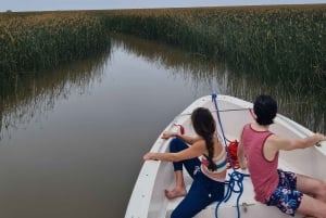 Tigre: Safari Náutico en Tigre/ omvisning med båt i biosfærereservatet