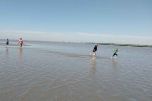 Tigre: Safari Náutico en Tigre/ omvisning med båt i biosfærereservatet