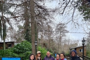 Tigre: Safari Náutico en Tigre/ omvisning med båt i biosfærereservatet