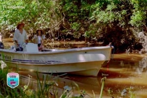 Tigre: Safari Náutico en Tigre/ omvisning med båt i biosfærereservatet