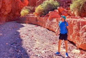 Tilcara: Tur til Humahuaca + Hornocal + Quebrada de las Señoritas (tredobbelt combo)