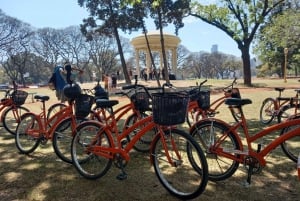 Recorrido: Buenos Aires al Norte (E-Bike)