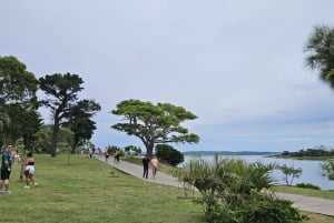 Tour Exclusivo de Punta del Este