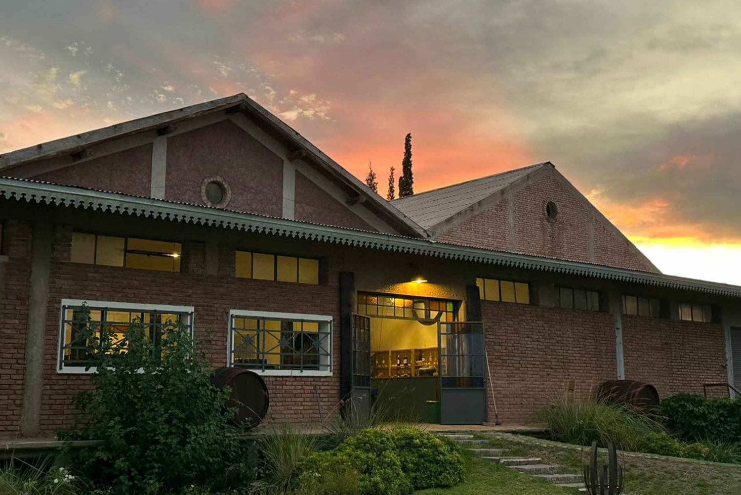 Rundvisning på 3 vingårde i Maipú med frokost + olivenlunde