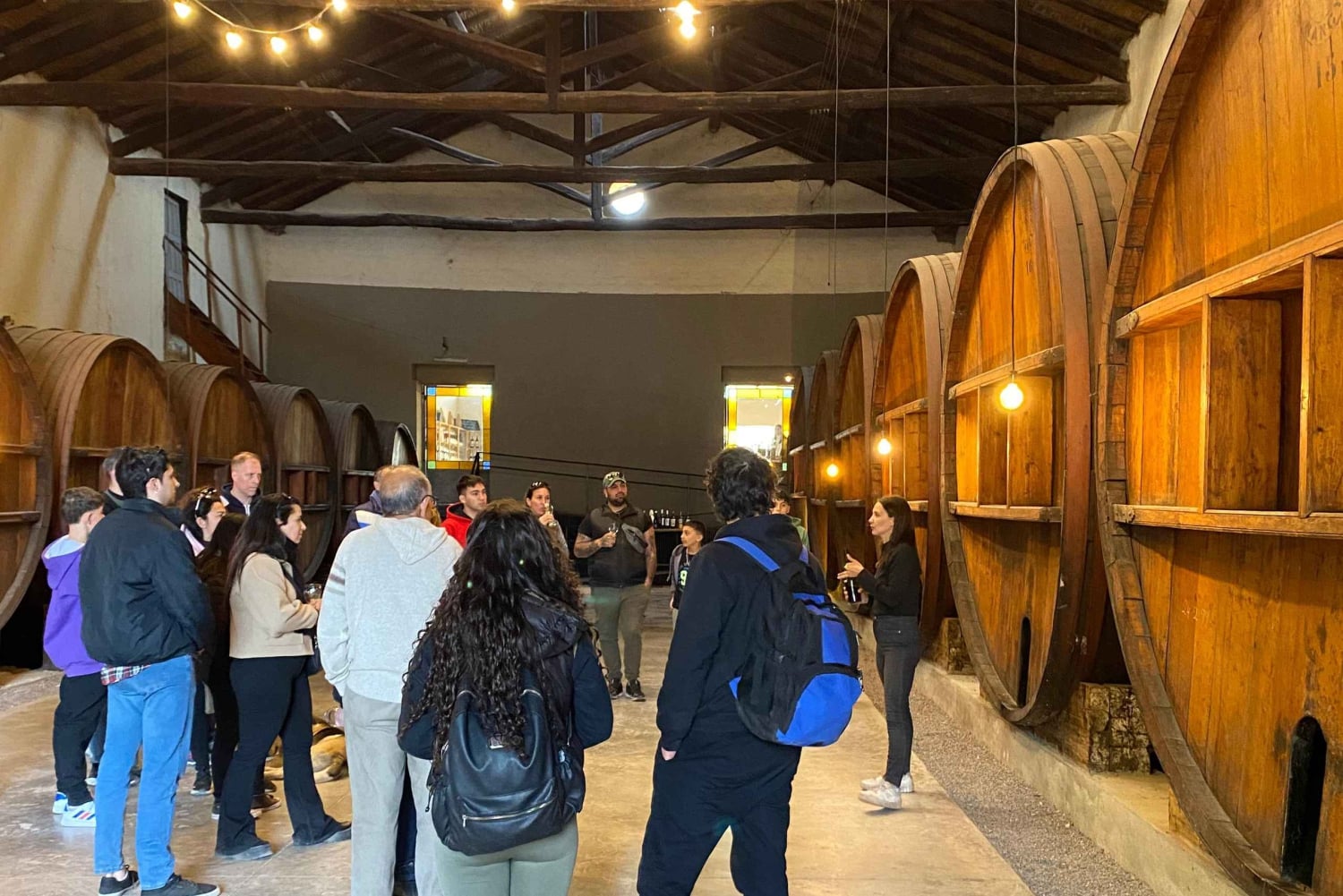 Rundvisning på 3 vingårde i Maipú med frokost + olivenlunde