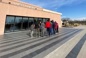 Rundvisning på 3 vingårde i Maipú med frokost + olivenlunde