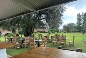 Rundvisning på 3 vingårde i Maipú med frokost + olivenlunde